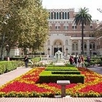 Master of Communication Management